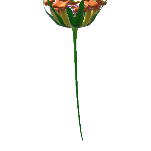 Flower  Lantana1 3_1